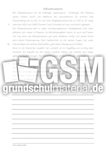 Mäusebussard.pdf